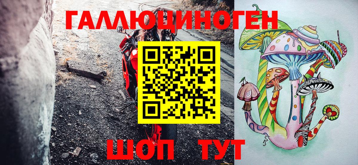 Псилоцибиновые грибы Psilocybe Рыбинск