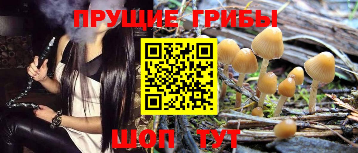 Псилоцибиновые грибы Magic Shrooms  Вход с VPN  купить закладку  Рыбинск 